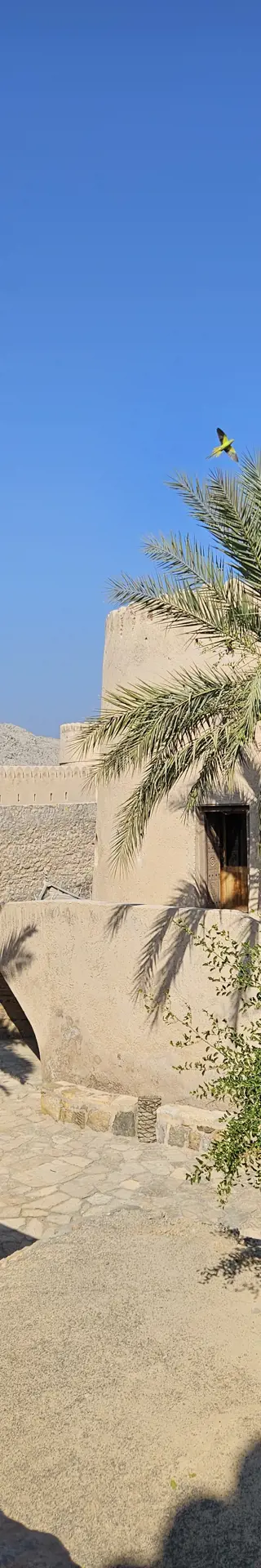 Einblick in die Geschichte von Musandam